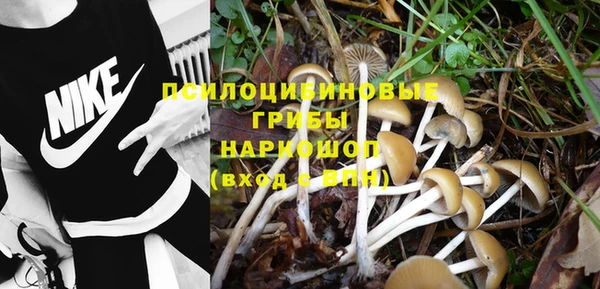 индика Новосибирск