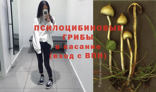 тгк Корсаков