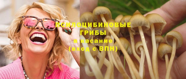 тгк Корсаков