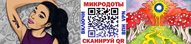 наркошоп  Кисловодск  Псилоцибиновые грибы Psilocybe 